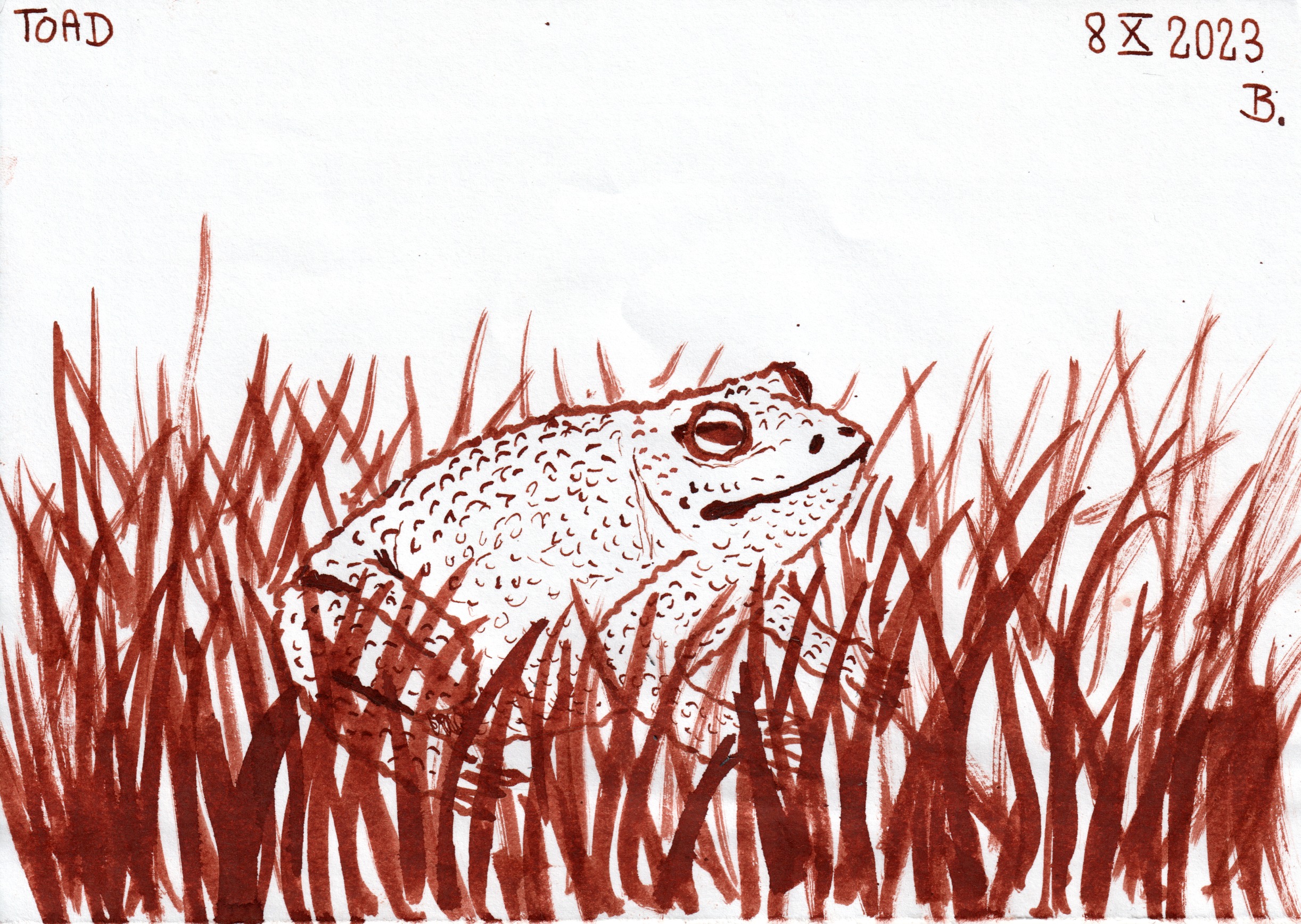 Inktober 2023 day 8: TOAD