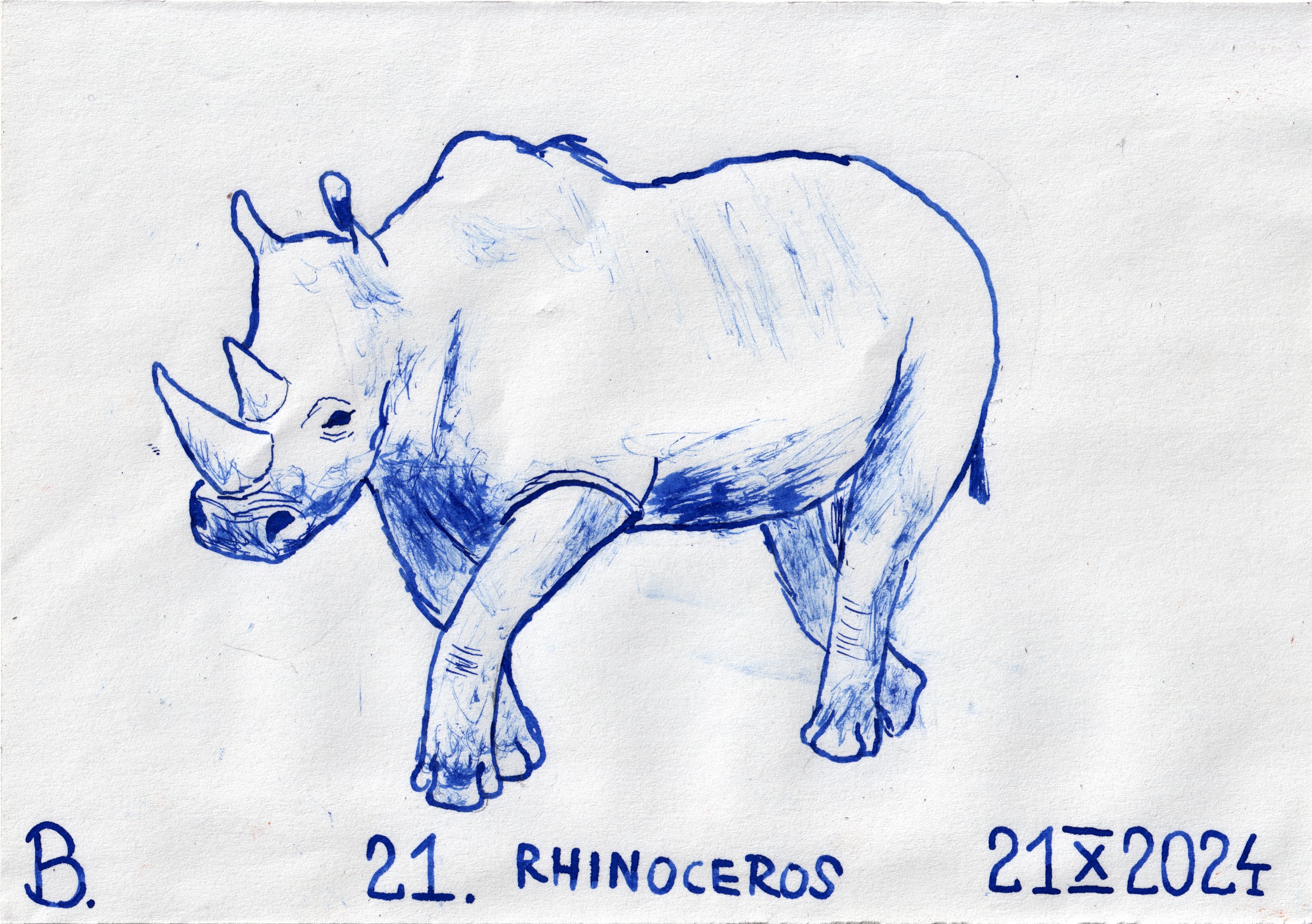 Inktober 2024 day 21: RHINOCEROS